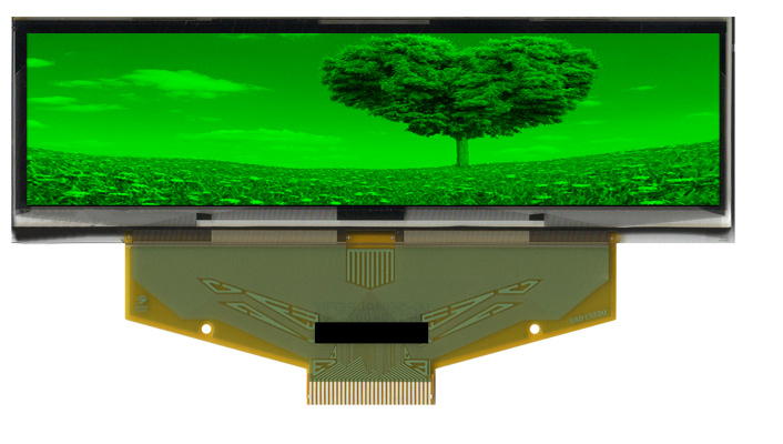 3.12-Inch Wide Temperature Pm OLED High Contrast Ratio 10000: 1