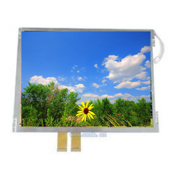 Counting LCD Blue Mode Panel Standard LCD Display Module