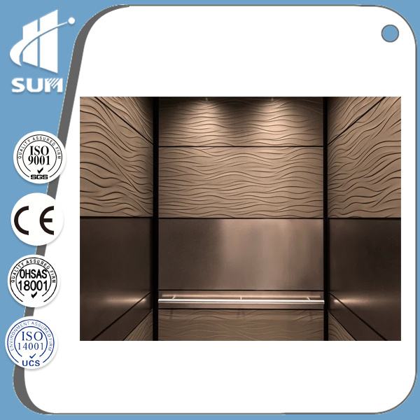 Best Selling in 2016! Ce Approved Passenger Lift