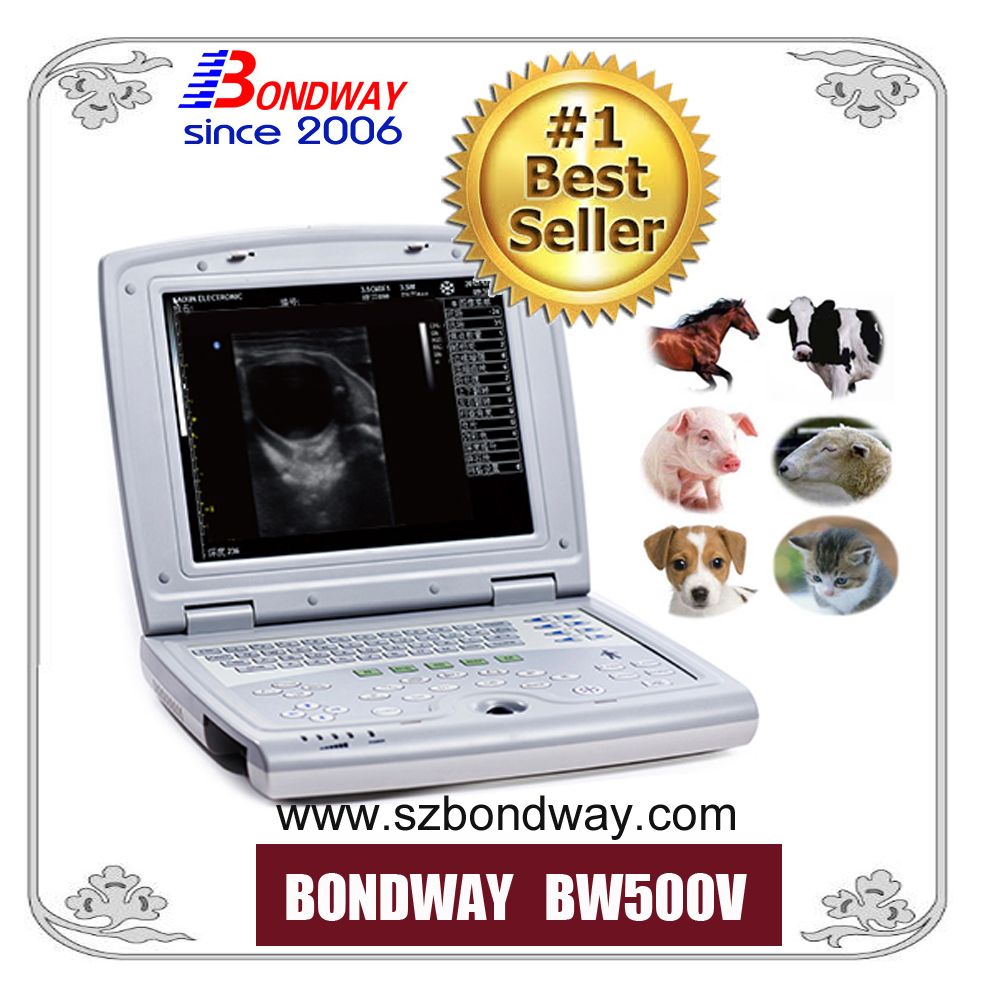 Full Digital Veterinary Ultrasonic Scanner, Equine Ultrasound, Cattle Ultrasound, Livestock Reproduction Ultrasound, Ultrasound Scan Machine