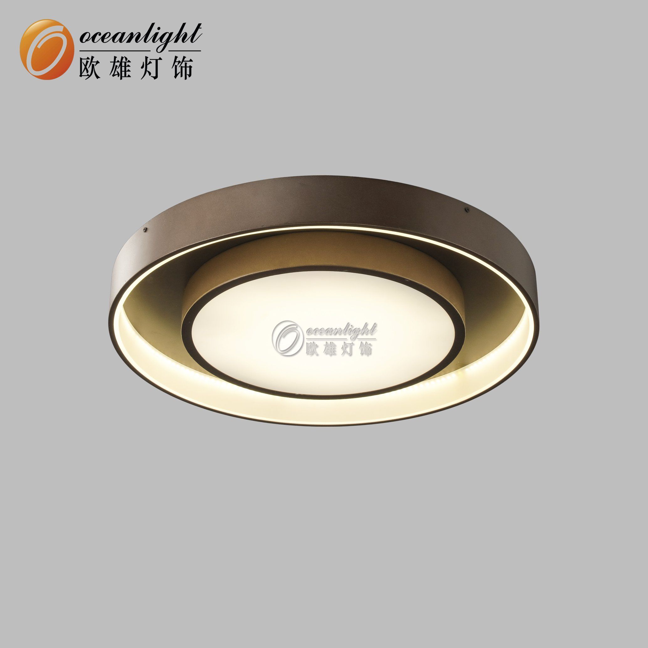 2018 Hot Sale Ceiling Penndant Lighting