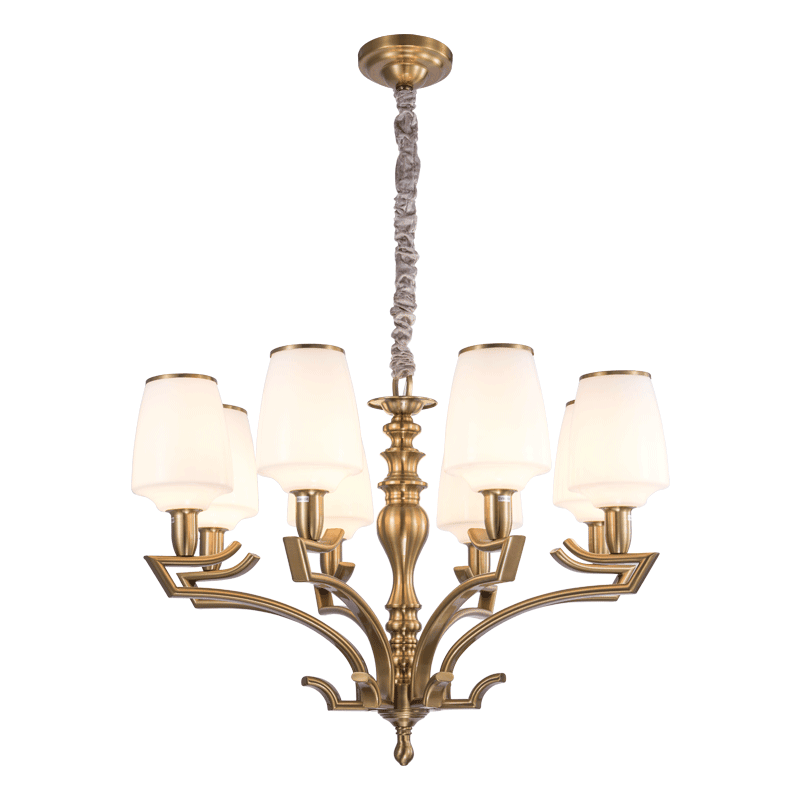 New Design Iron Chandelier with Glass Shade Lighting Fitting for Home (SL2276-8)