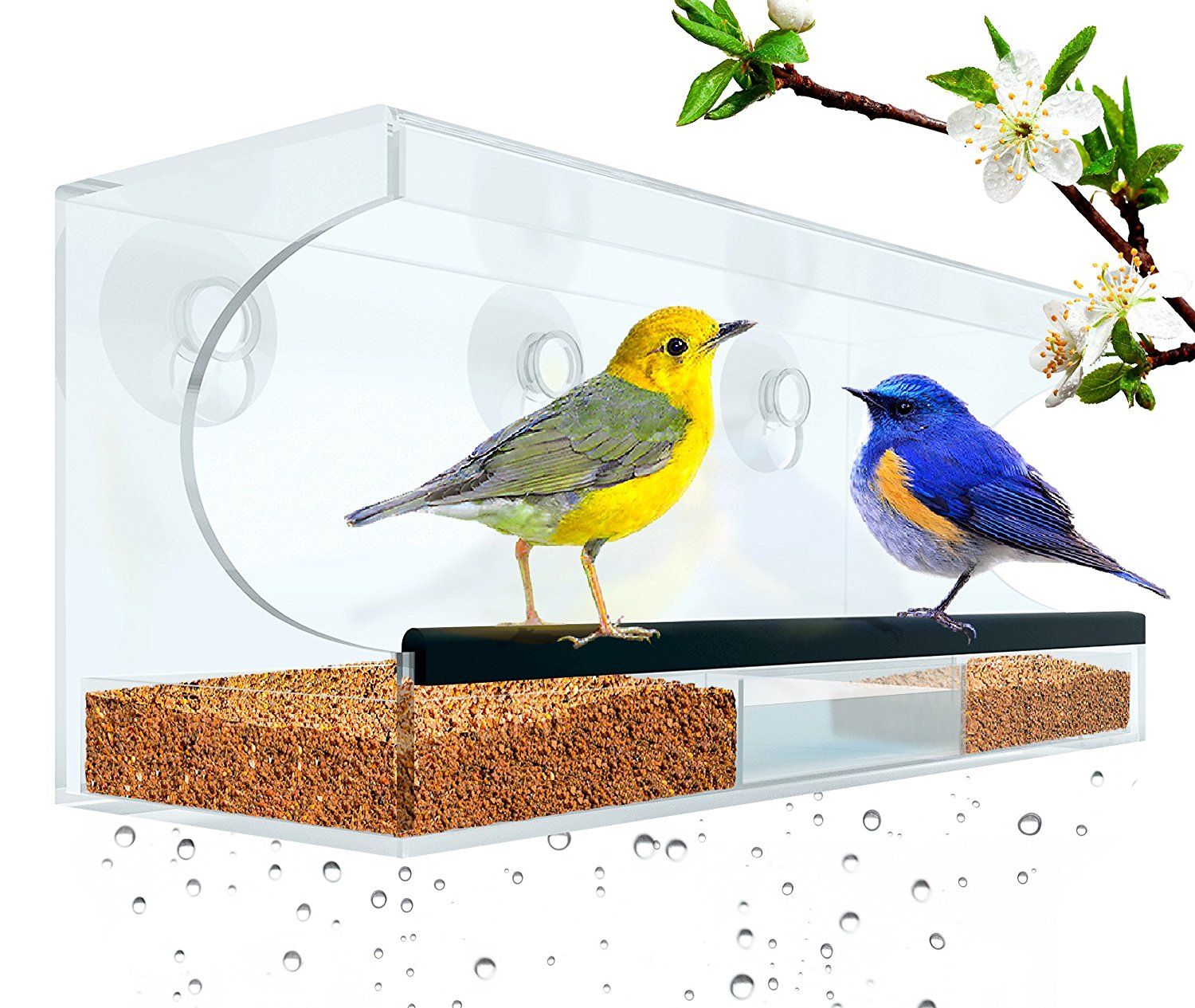 Custom Acrylic Window Bird Feeder with Super Strong Suction Cup
