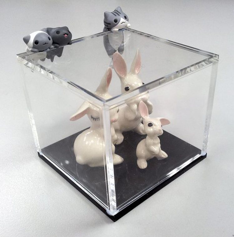 Clear Acrylic Cubic Interlocking Display Case Multi-Use Dustproof Box
