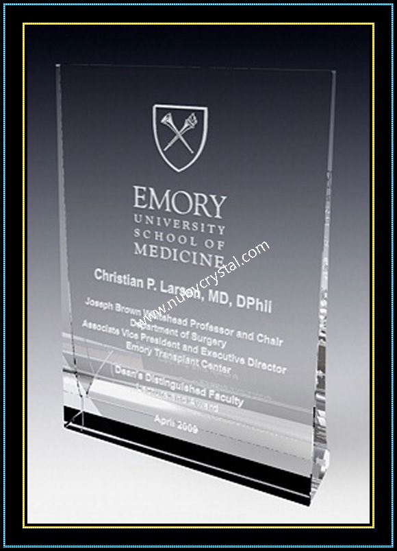 Crystal Award Plaque / Vertical Plaque 5