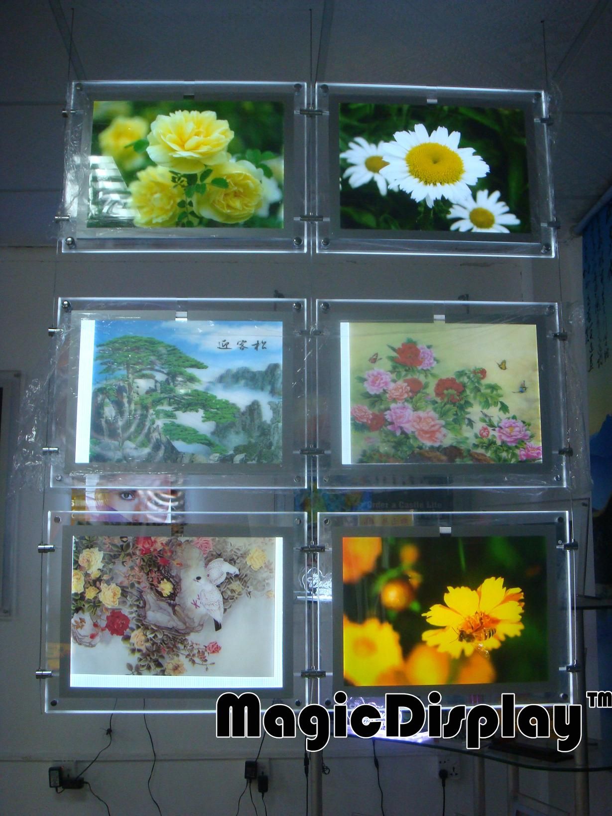 Window Hanging Acrylic Light Box Display (MDCLB)