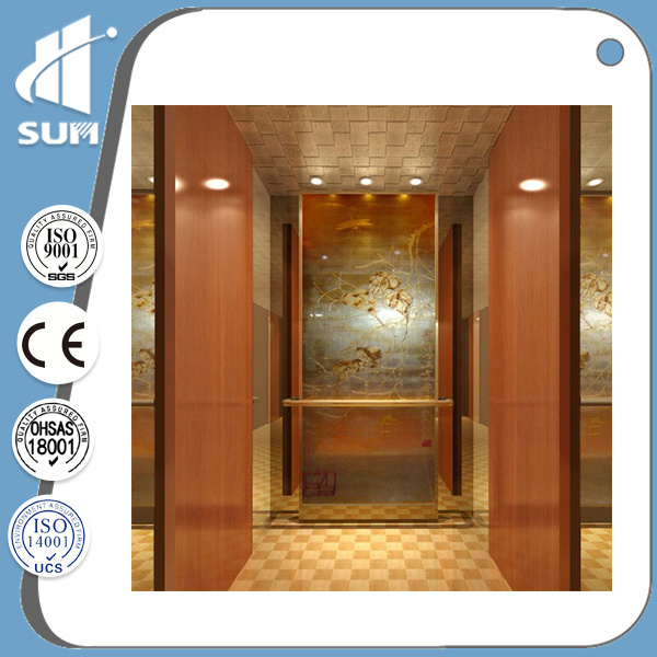 Passenger Elevator of Speed 1.5m/S with Ce Certificate