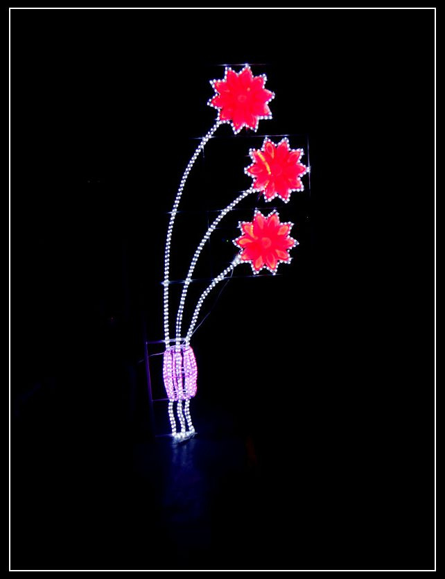 LED 2D Light Decaration for Street