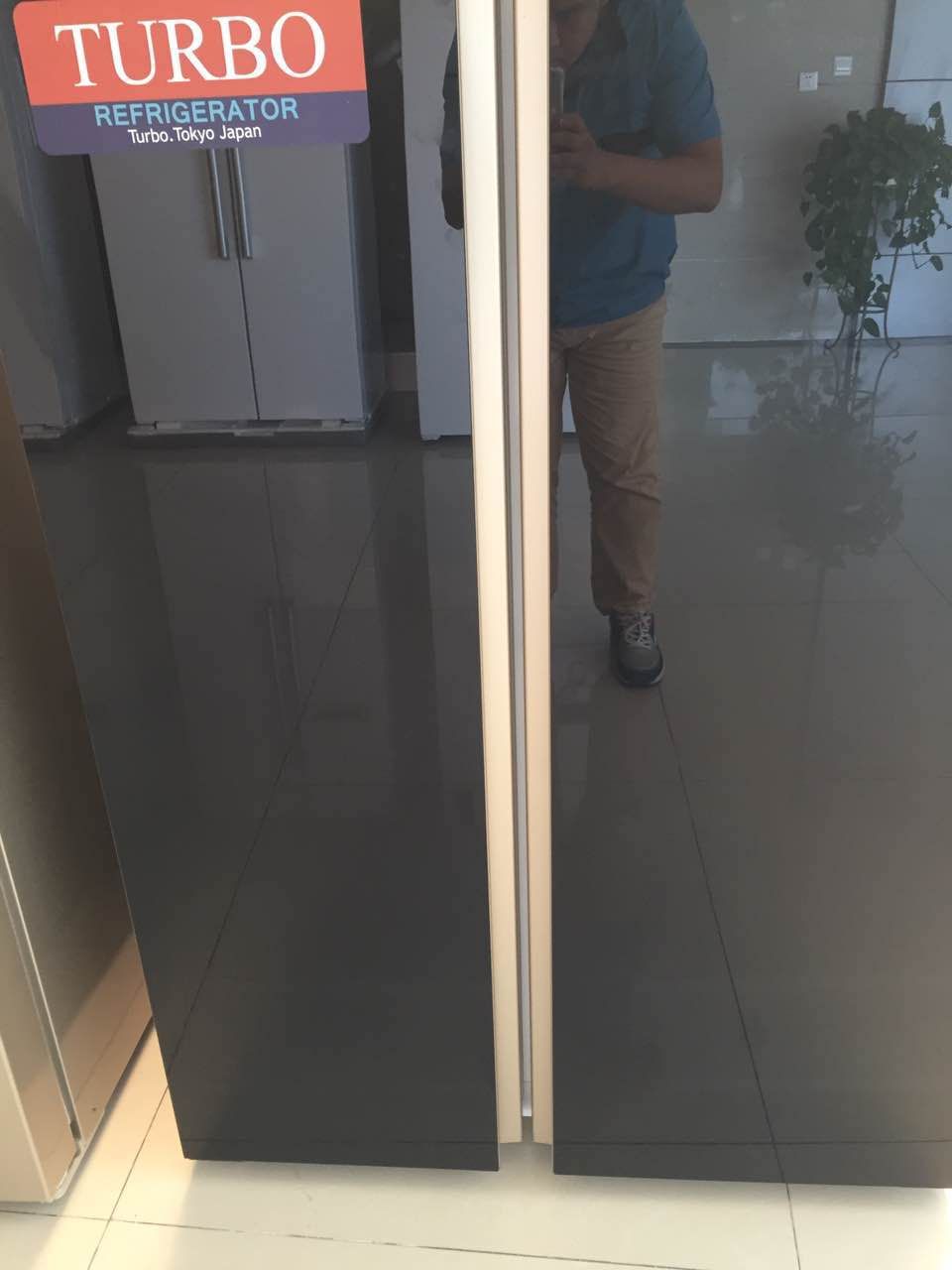 Commercial Beverage Refrigerator with Cheap Price Made in China