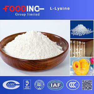 China Buy Low Price Liquid of L Lysine Monohydrochloride Wholesaler