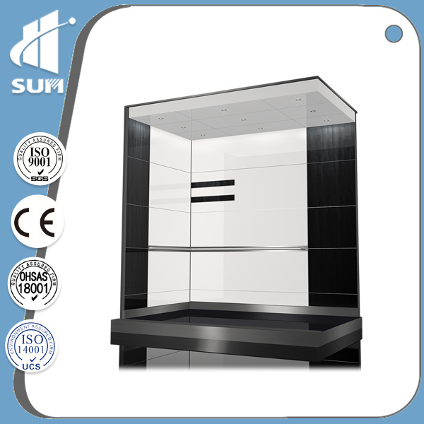 Speed 1.75m/S Stainless Steel Capacity 800kg Passenger Elevator
