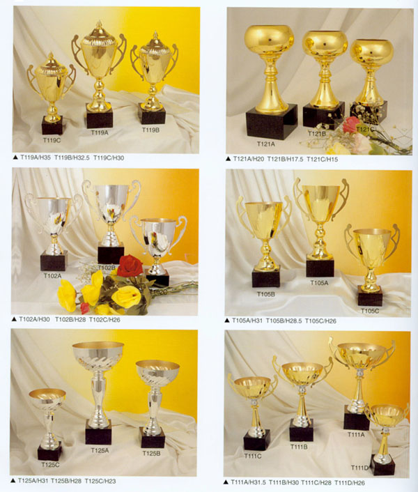 Sports Trophy