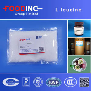 High Quality Pharmaceutical Grade L-Leucine Granule Manufacturer