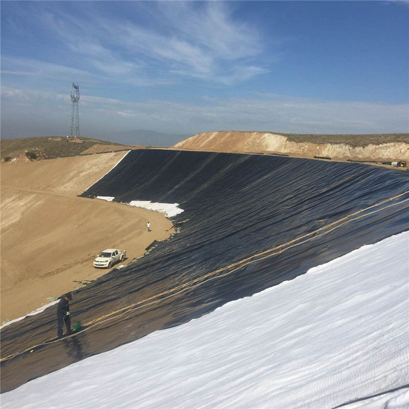 1.25mm ASTM HDPE Waterptoof Membrane of Construction Material for Reservoir