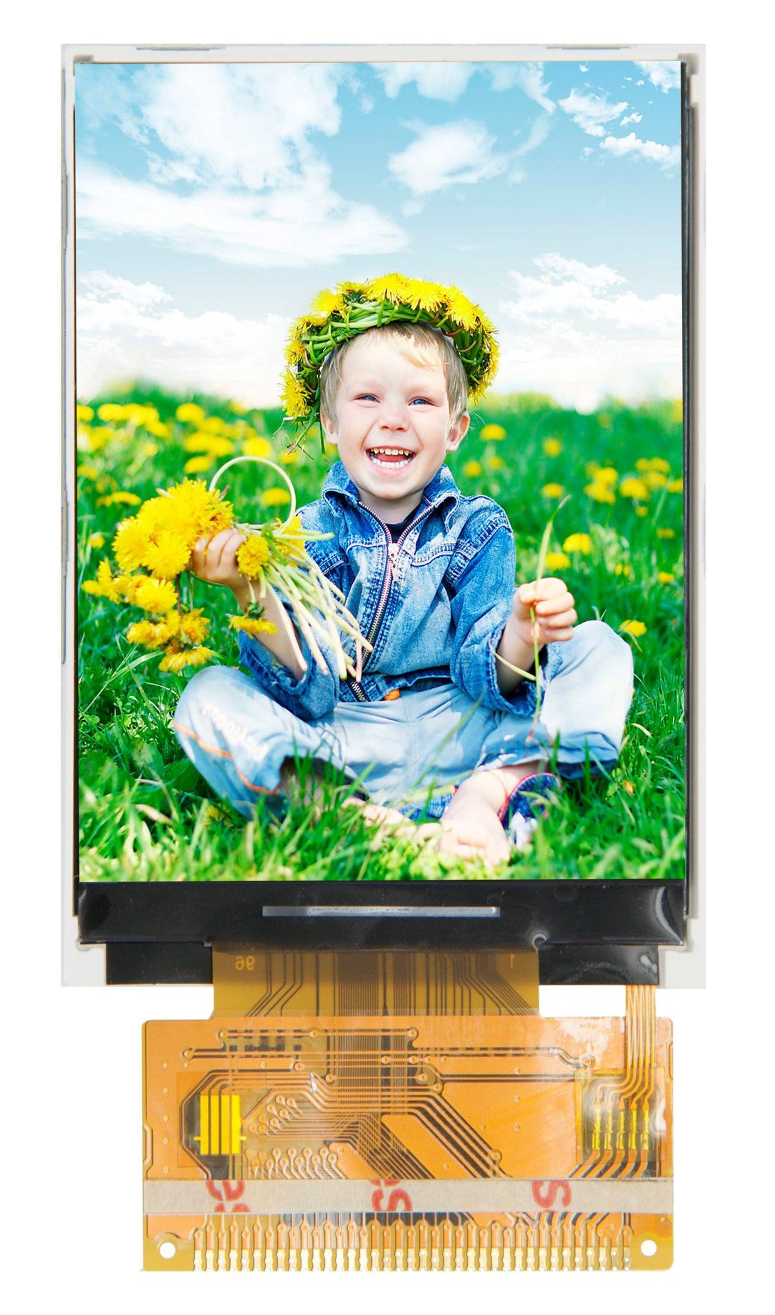 Resolution 176*220 MCU 2 Inch TFT LCD Module