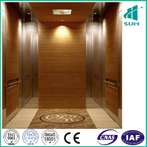 Nice Elevator in China by Sum Elevator