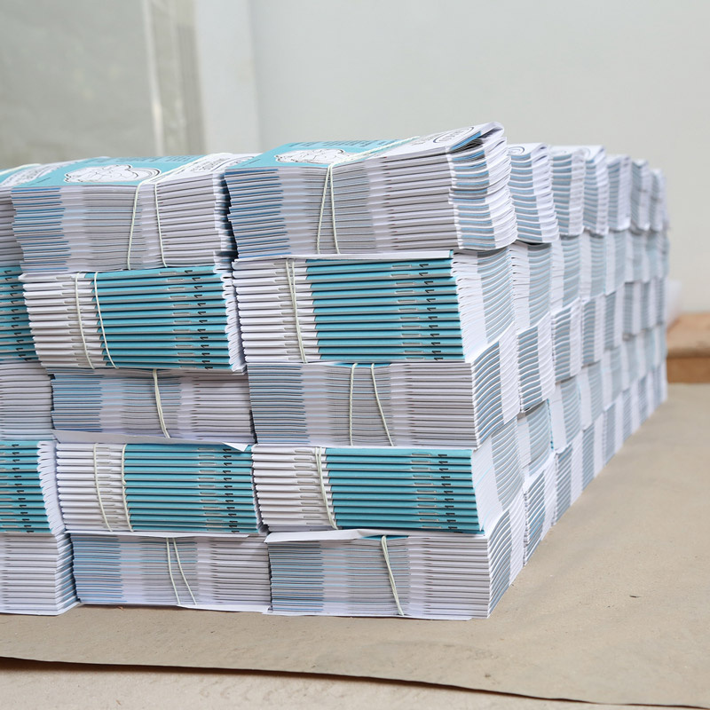 Printing Serivce Heideberg Print Brochure/Booklet/Leaflet Printing Factory