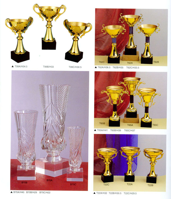 Sports Trophy