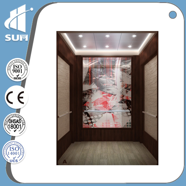 Export to Europe! Best Quality Speed 1.5m/S Passenger Elevator