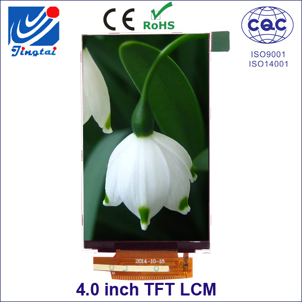 TFT Tn 12 O'clock 480*800 LCM