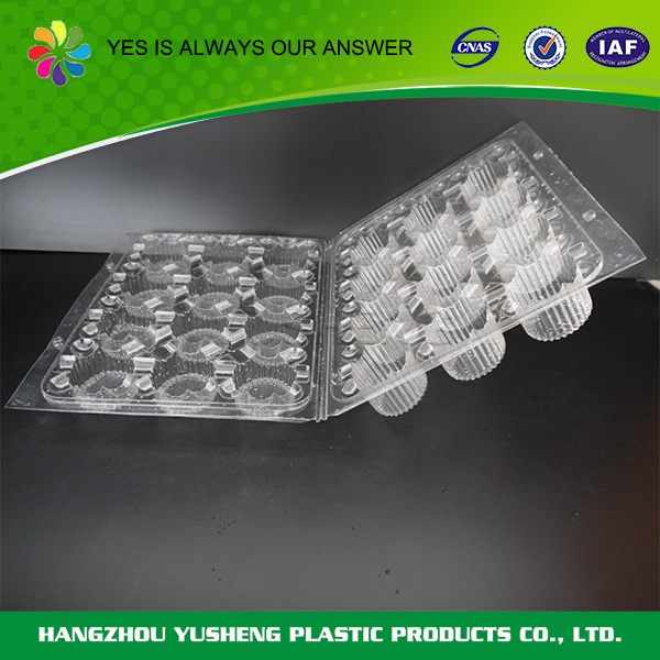 Leak Resistance Crystal Clear Food Packing Box