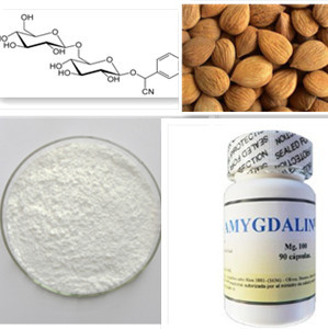 Amygdalin 98% laetrile b17 Capsules
