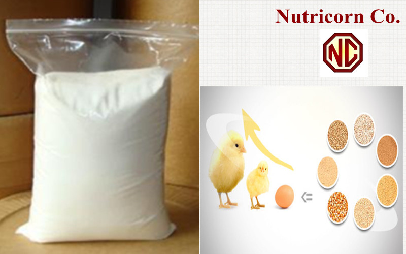 L-Tryptophan Feed Additives Concentrated Supplement