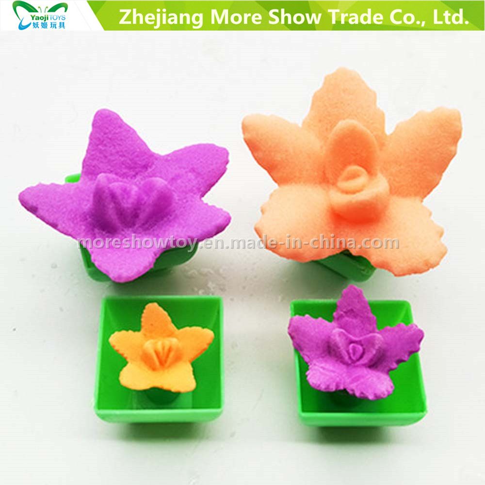 Hot Fashion Growing Toys for Chindren Mini Ponsai Funny Growing Cactus Can Grow
