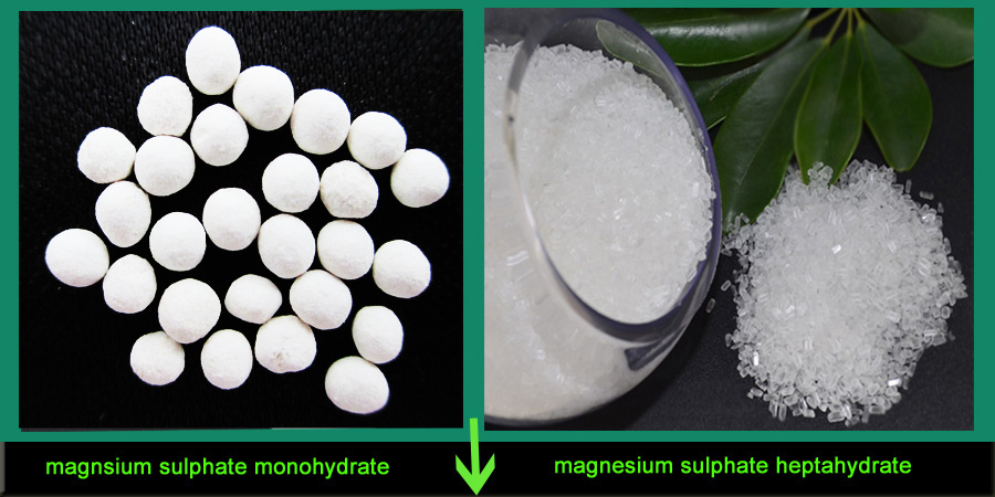 China Supply Magnesium Sulphate Manufacturer 99%-99.5%Min
