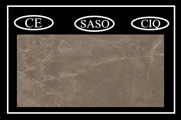 Decorative 12X12 Floor Tile on Promotion in Foshan (PD1621204P)