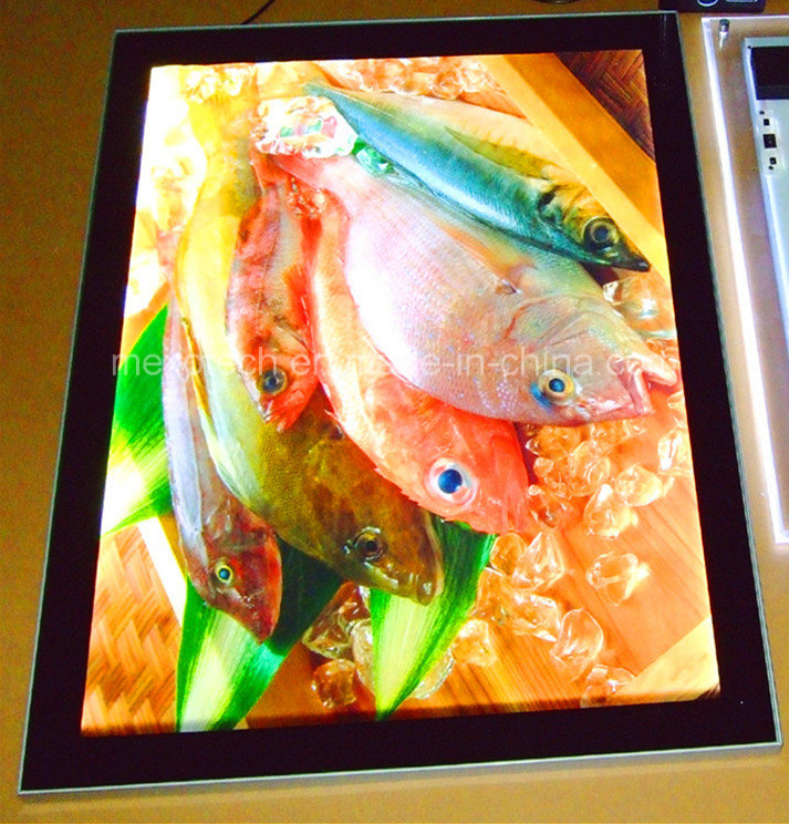 Aluminum Magnetic Frame LED Slim Advertisement Light Box (SSH03-A3)