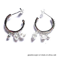 Popular Luxury Stud Earrings with Sterling Silver Rhodium Plated Round Crystal Zircon (E5062S)