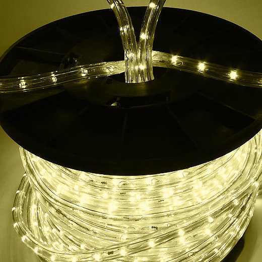 Waterproof Y2 LED Rope Light Direct Sale with CE RoHS