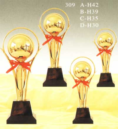 Sports Trophy