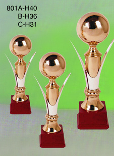Sports Trophy