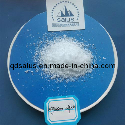 Monohydrate Magnesium Sulphate Mgso4. H2O with High Quality
