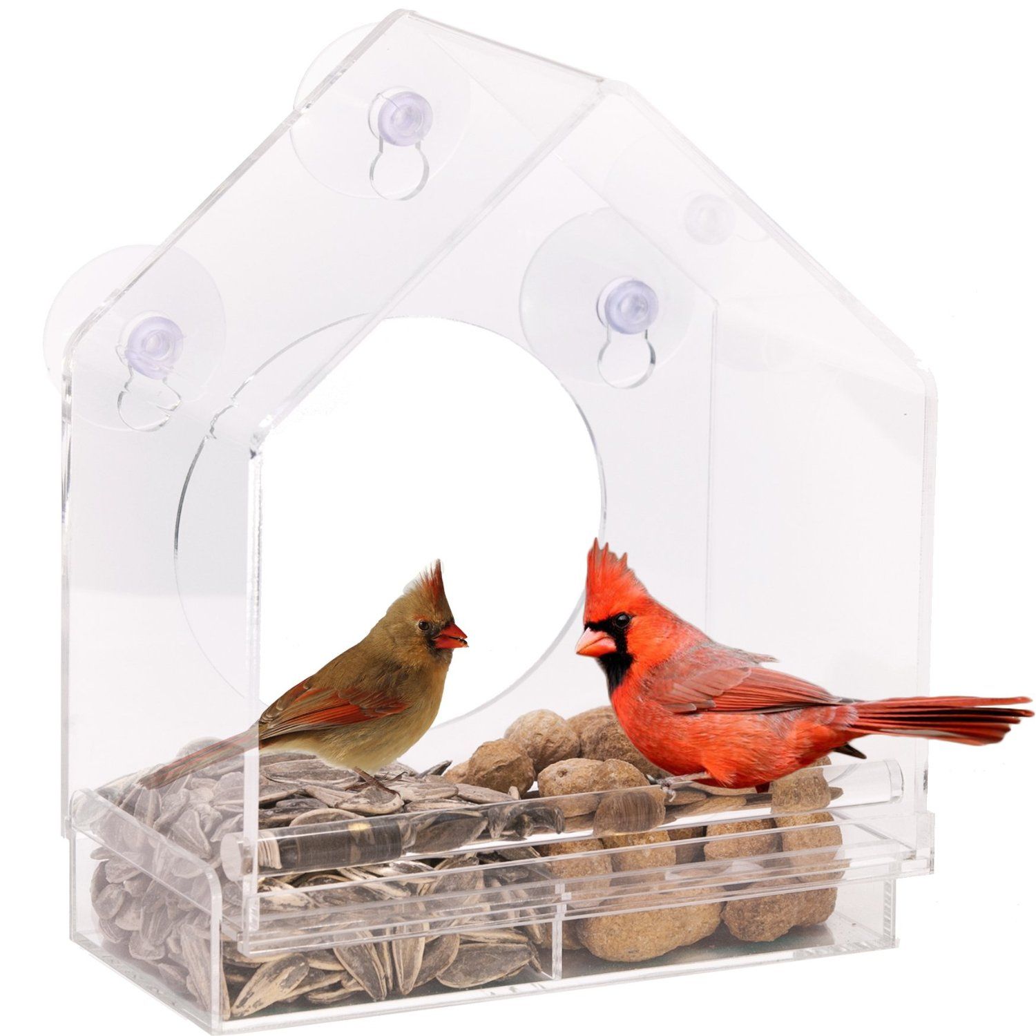 2017 Latest Design Acrylic Transparent Window Bird Feeder