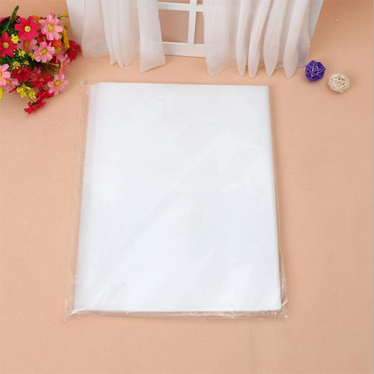Plastic/LDPE/Poly Ziplock Bag/ Reclosable Bag for Frozen Food
