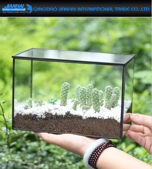 Rectangle Cuboid Clear Glass Geometric Terrarium Glasshouse Planter