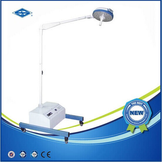 Veterinary Equipment Battery Operated LED Light Examination Lamp (YD300E LED)