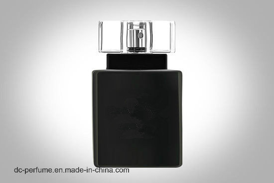 Long Lasting Perfume in U. S 2018