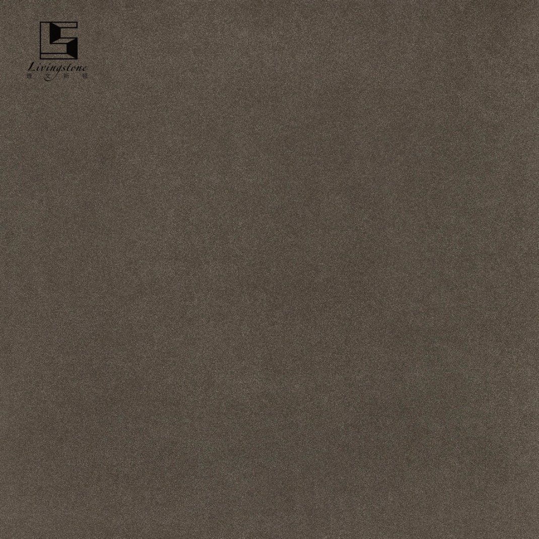 China Foshan Low Price 600X600 Natural Timber Ash Ceramic Tile