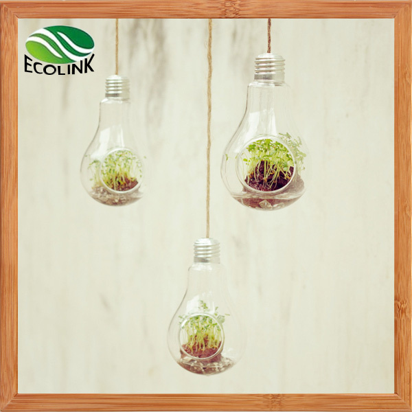 Hanging Light Bulb Shaped Glass Vase