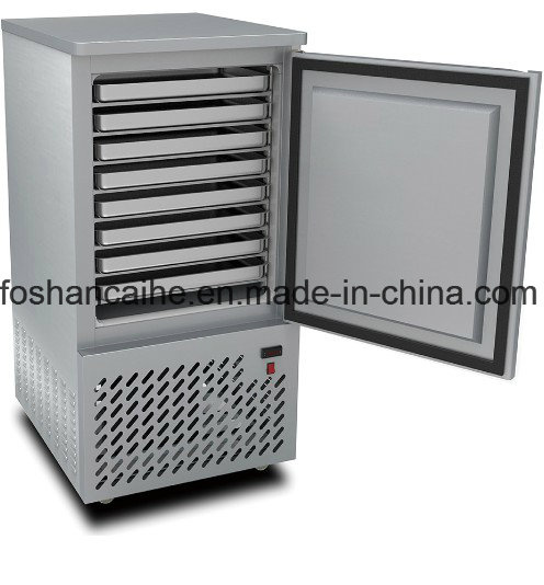 10 PCS Tray Fast Food Blast Freezer