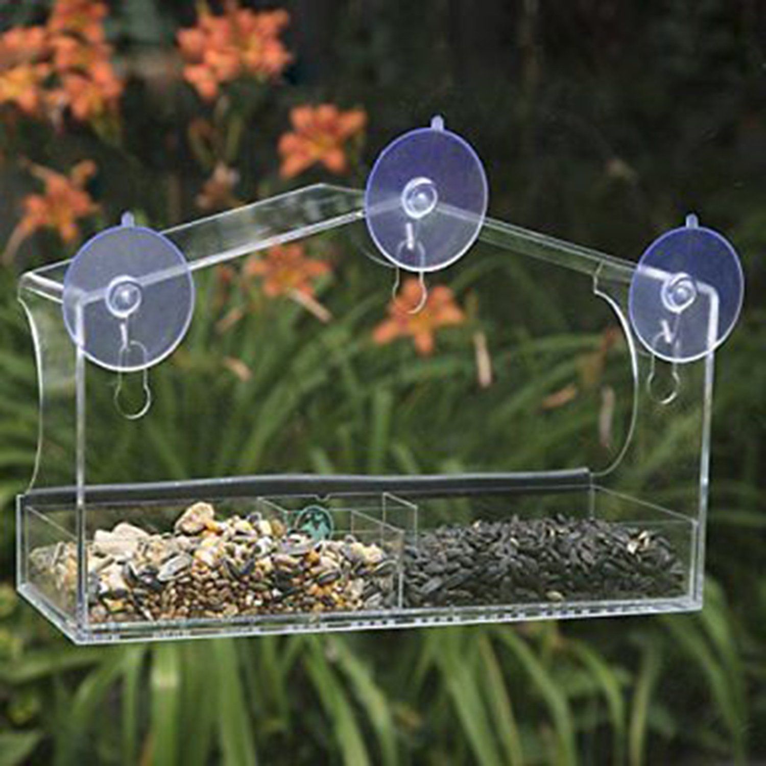 Large Acrylic Plexiglass Window Bird House for Amazon