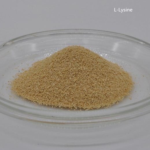 Feed Additive Llysine L Lysine L-Lysine 98 % Feed Grade