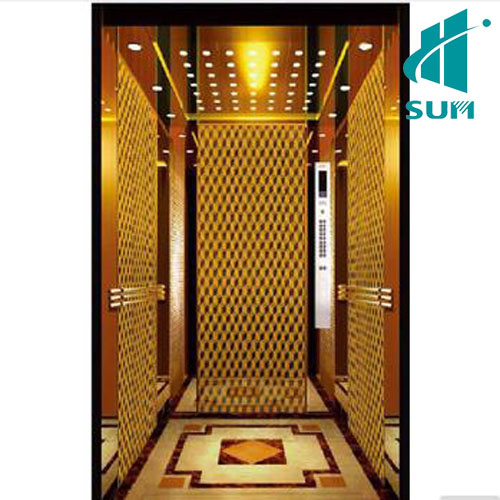 Sum Passenger Elevator with Good Quality Hot Sail