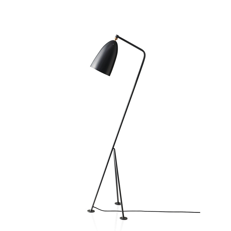 Fancy Modern Stand Floor Lamp Metal Standing Lighting for Living Room