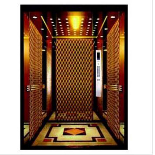 Sum Passenger Elevator with Good Quality