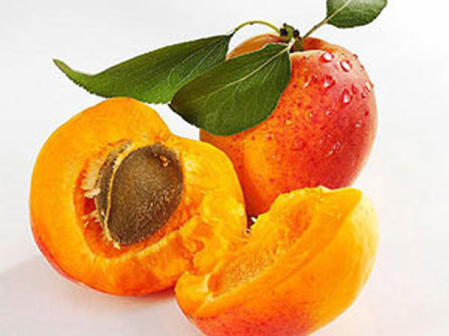Best Selling High Quality Natural Vitamin B17 Amygdalin